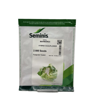 بذر گل کلم مارمورکس – فضای باز – هیبرید – برند سمینس Seminis