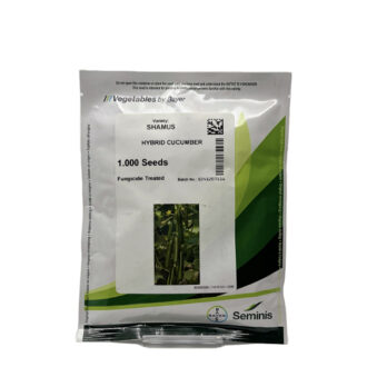 بذر خیار گلخانه ای شاموس – گلخانه ای – هیبرید – برند سمینس Seminis