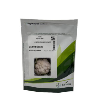 بذر گل کلم آریزونا – فضای باز – هیبرید – برند سمینس Seminis