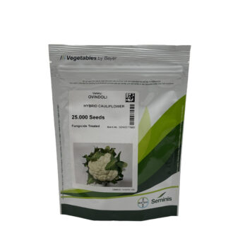 بذر گل کلم اویندولی – فضای باز – هیبرید – برند سمینس Seminis